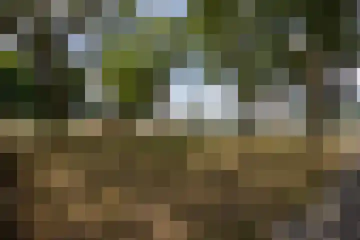 Marshalllaan 141 K Utrecht thumbnail 29