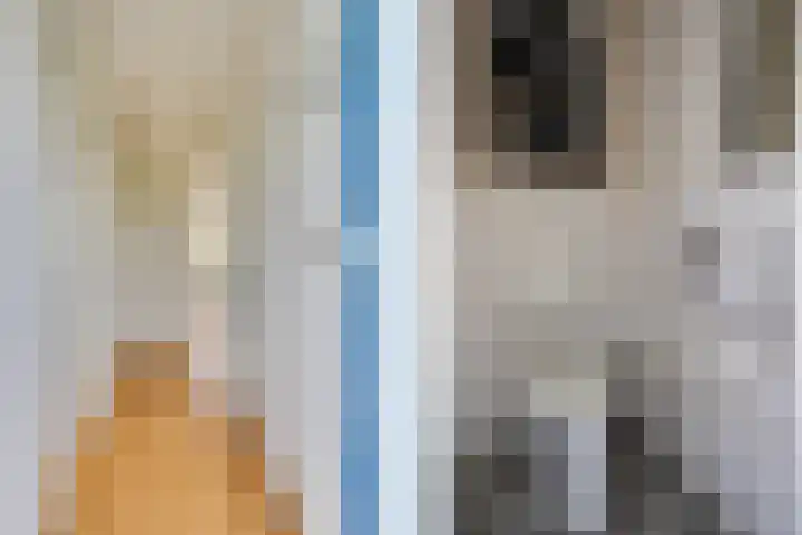 Marshalllaan 141 K Utrecht thumbnail 9