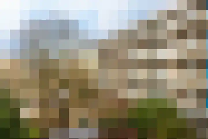 Marshalllaan 141 Utrecht thumbnail 24