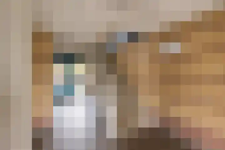 Marshalllaan 141 Utrecht thumbnail 6