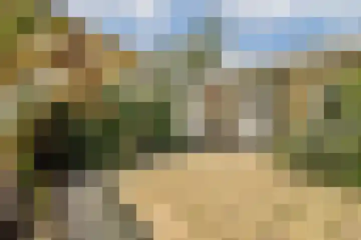 Marshalllaan 2 Voorhout thumbnail 17