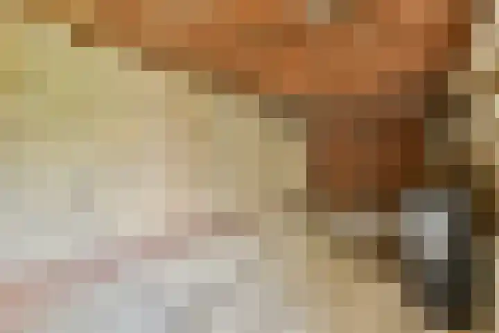 Marshalllaan 2 Voorhout thumbnail 25