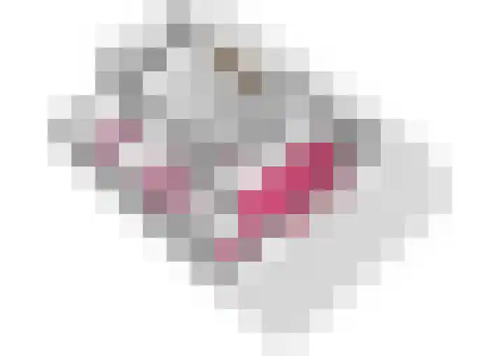 Marshalllaan 2 Voorhout thumbnail 27