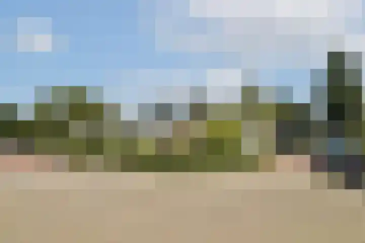 Marshalllaan 2 Voorhout thumbnail 29