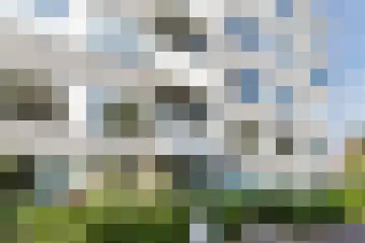 Marshalllaan 295 Utrecht thumbnail 19