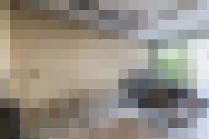 Marshalllaan 295 Utrecht thumbnail 22