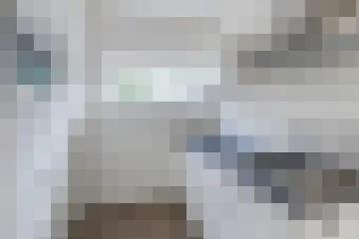 Marshalllaan 295 Utrecht thumbnail 7