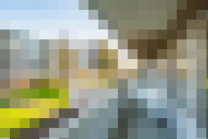 Marshalllaan 296 Utrecht thumbnail 16