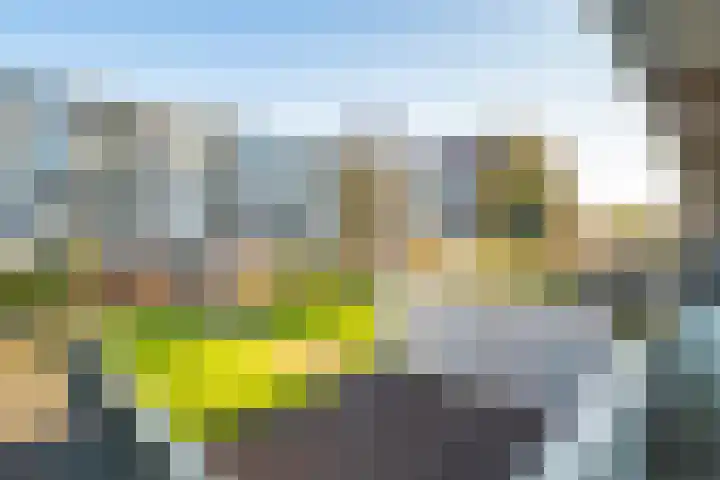 Marshalllaan 296 Utrecht thumbnail 17