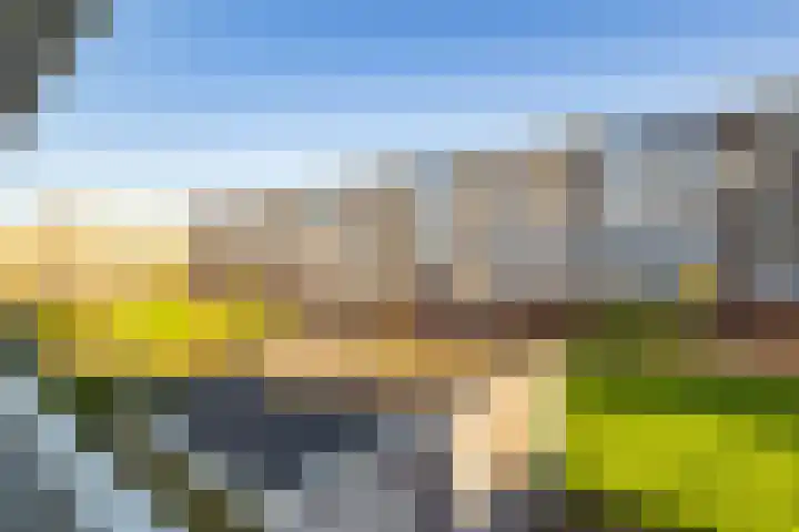 Marshalllaan 296 Utrecht thumbnail 19