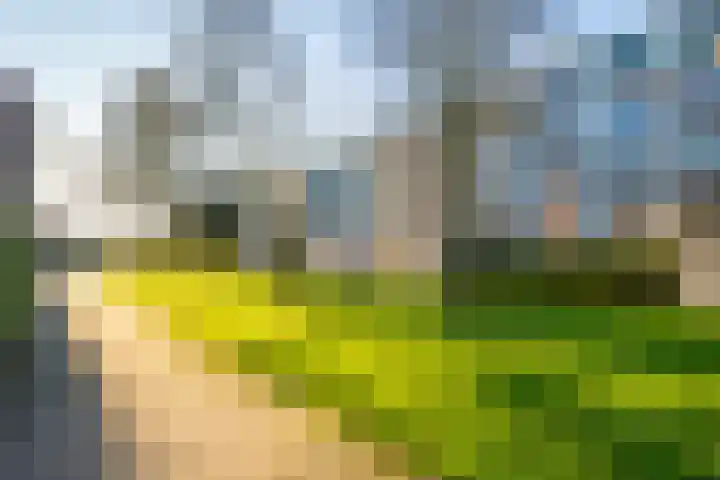 Marshalllaan 296 Utrecht thumbnail 32