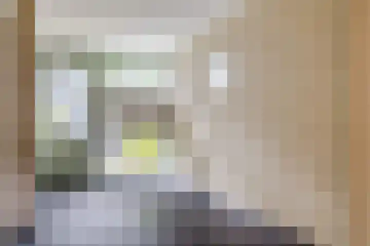 Marshalllaan 298 Utrecht thumbnail 7