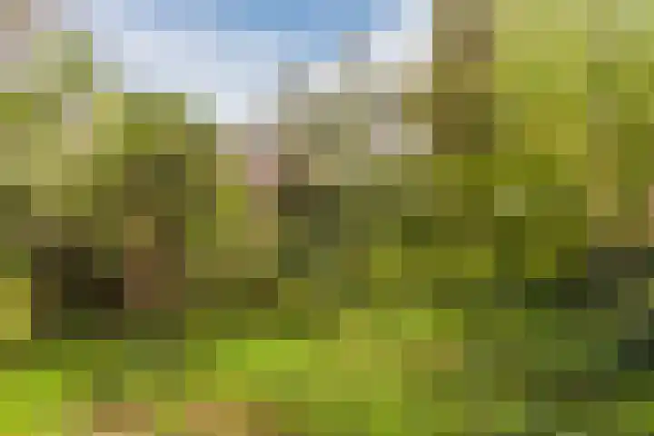 Marshalllaan 300 A Utrecht thumbnail 30