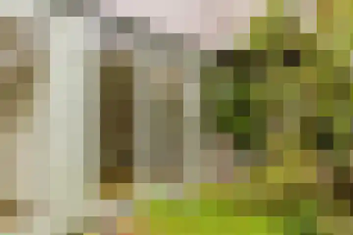 Marshalllaan 300 A Utrecht thumbnail 31