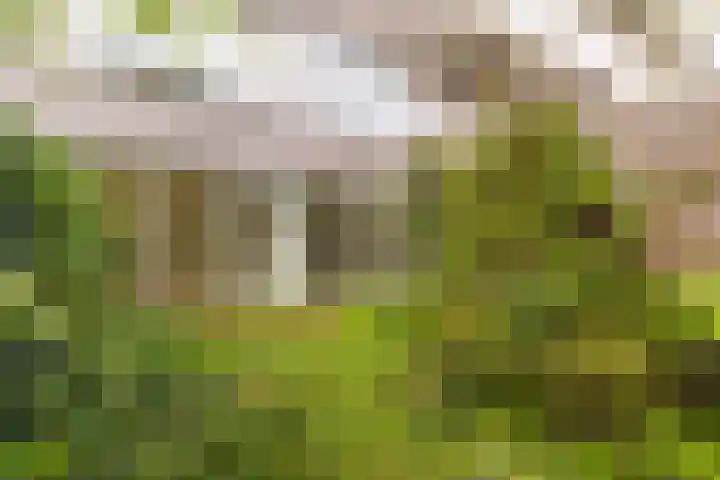 Marshalllaan 300 A Utrecht thumbnail 4