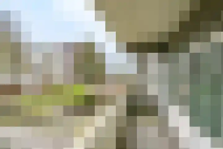 Marshalllaan 300 Utrecht thumbnail 21