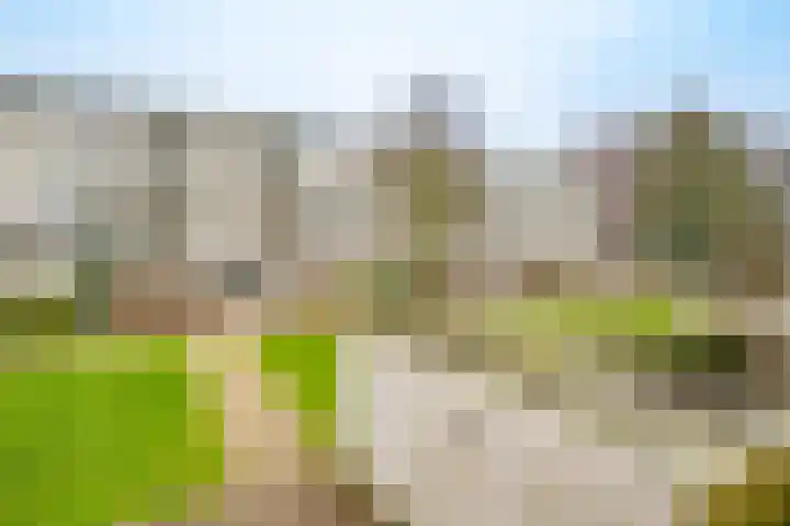 Marshalllaan 300 Utrecht thumbnail 29