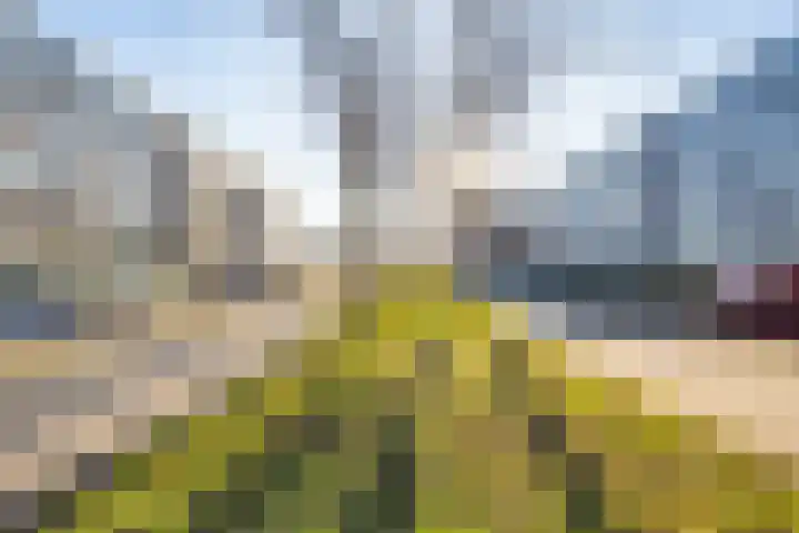Marshalllaan 300 Utrecht thumbnail 34