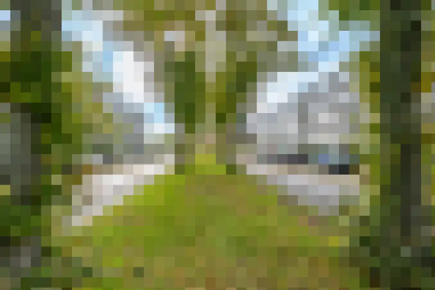 Marshalllaan 309 Utrecht thumbnail 37