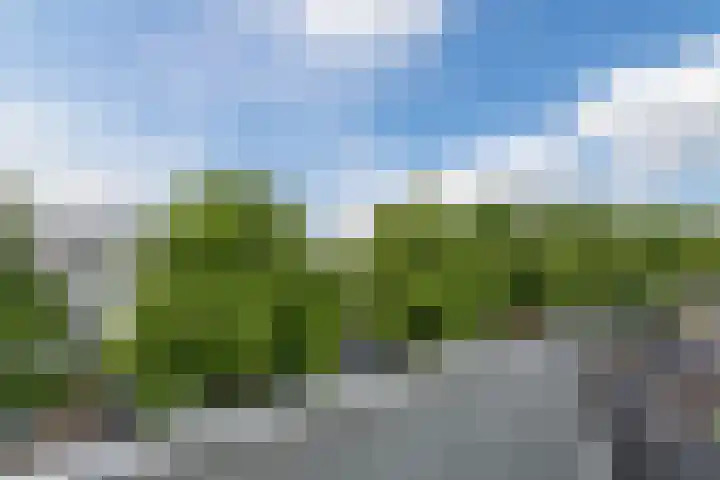Marshalllaan 316 Utrecht thumbnail 12