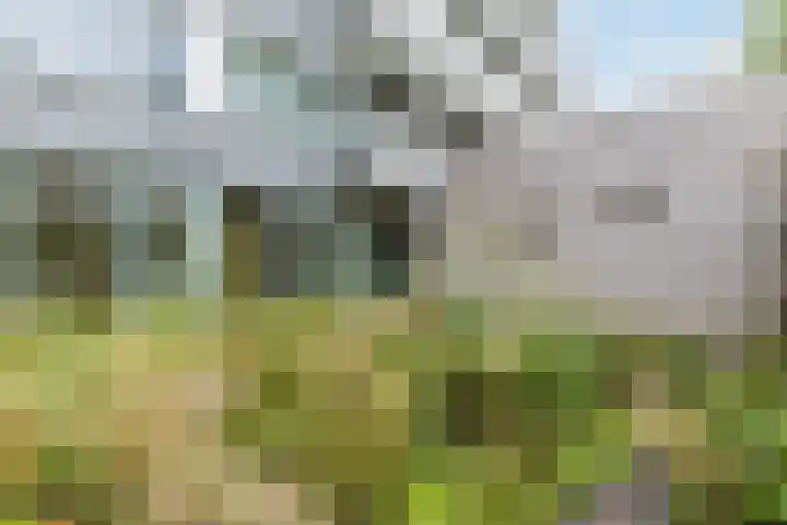 Marshalllaan 319 A Utrecht thumbnail 11