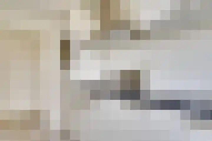Marshalllaan 337 Utrecht thumbnail 12