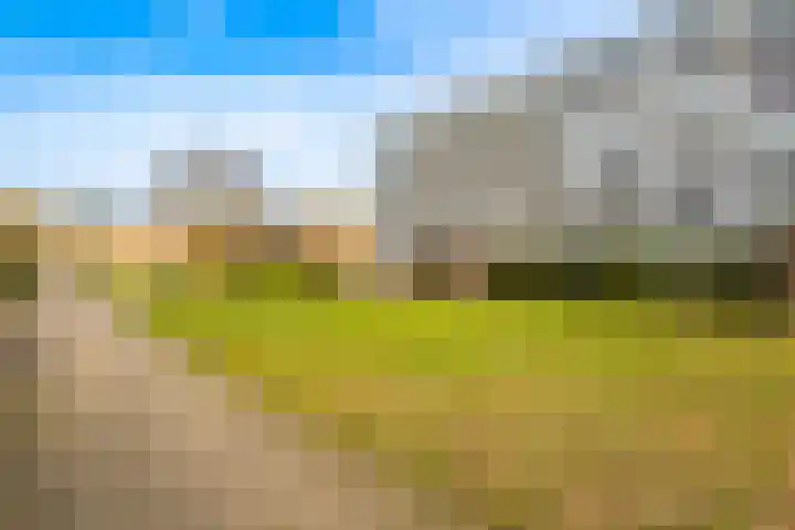 Marshalllaan 337 Utrecht thumbnail 24