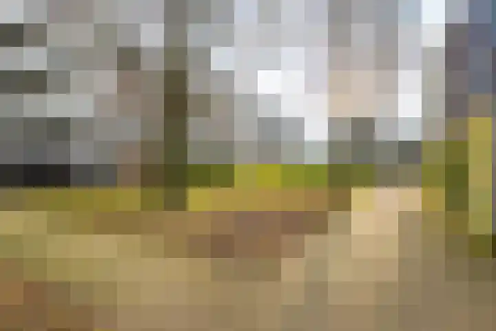 Marshalllaan 337 Utrecht thumbnail 25