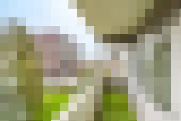 Marshalllaan 338 Utrecht thumbnail 22