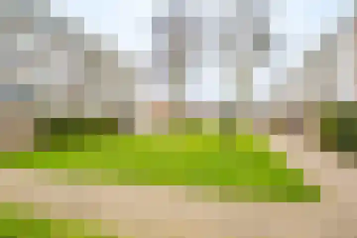 Marshalllaan 338 Utrecht thumbnail 28