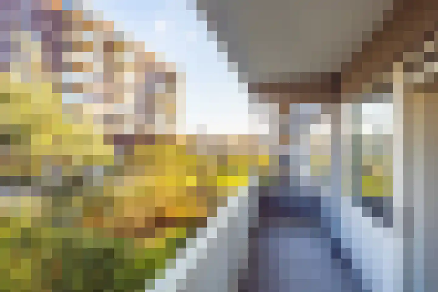 Marshalllaan 352 Utrecht thumbnail 17