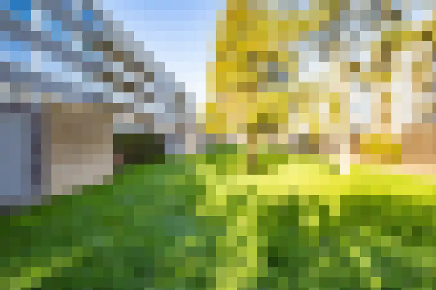 Marshalllaan 352 Utrecht thumbnail 30