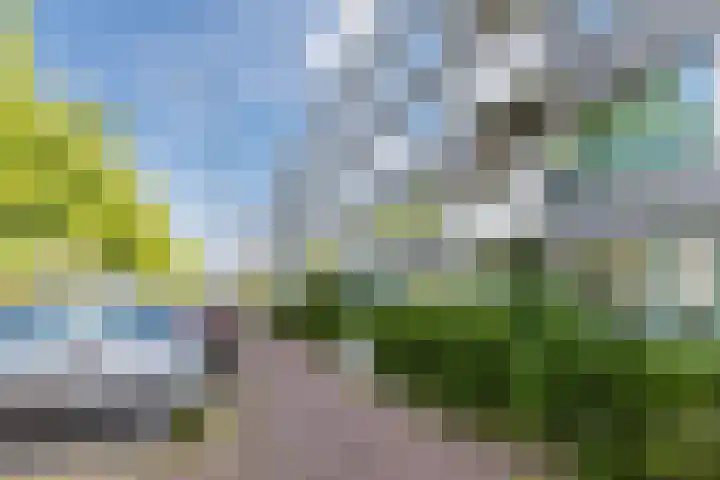 Marshalllaan 354 Utrecht thumbnail 30
