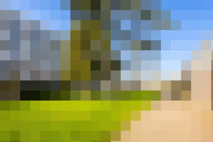 Marshalllaan 368 Utrecht thumbnail 35