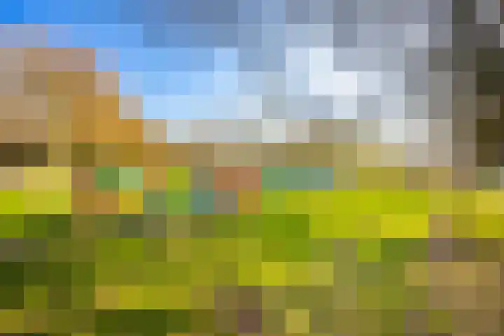 Marshalllaan 368 Utrecht thumbnail 47