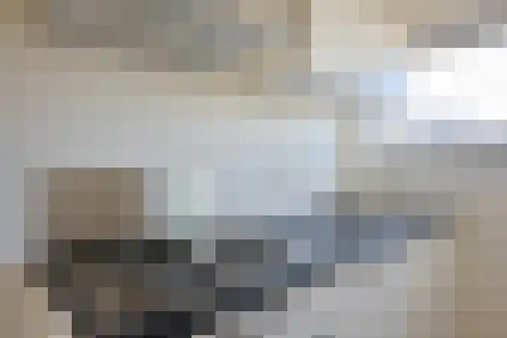 Marshalllaan 368 Utrecht thumbnail 8