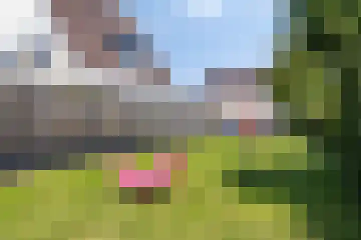 Marshalllaan 37 Hellevoetsluis thumbnail 29