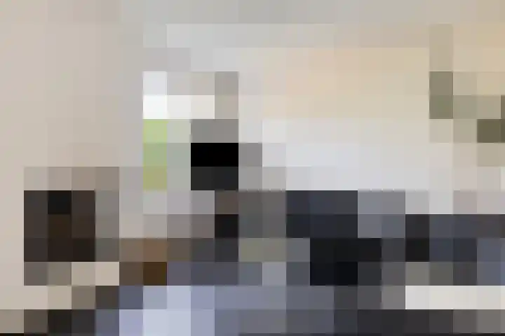 Marshalllaan 37 Hellevoetsluis thumbnail 8