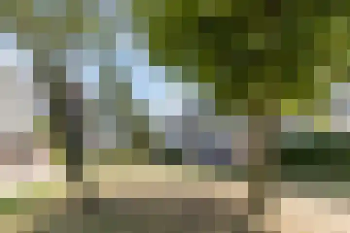 Marshalllaan 378 Utrecht thumbnail 23