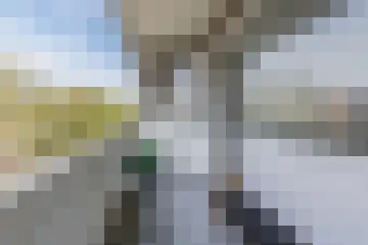 Marshalllaan 387 Utrecht thumbnail 31