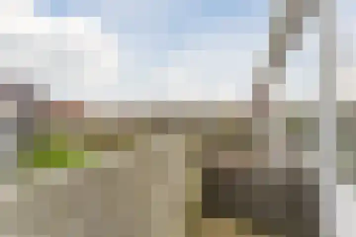 Marshalllaan 391 Utrecht thumbnail 22