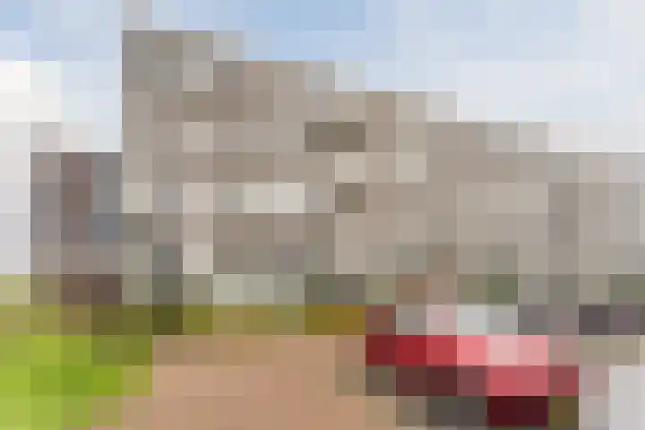 Marshalllaan 391 Utrecht thumbnail 7