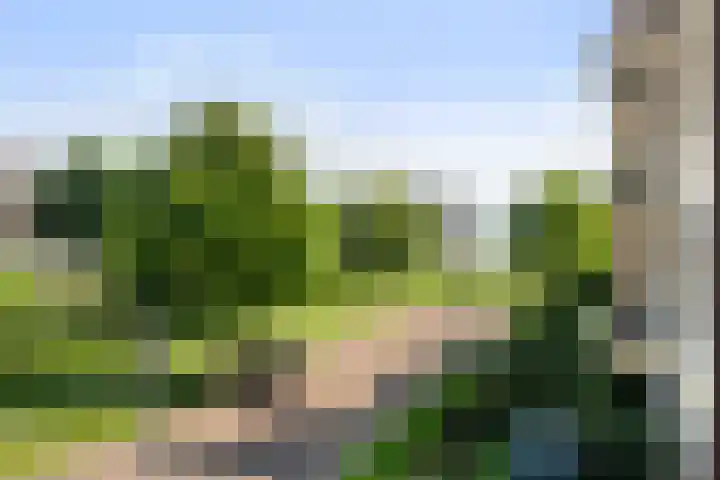 Marshalllaan 43 Woerden thumbnail 31