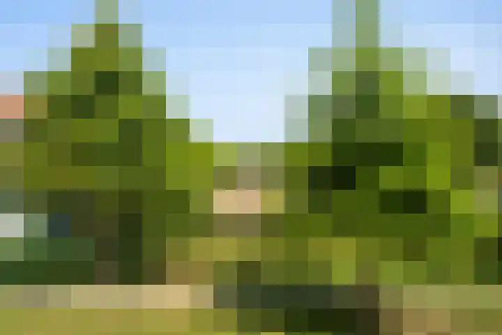 Marshalllaan 43 Woerden thumbnail 32