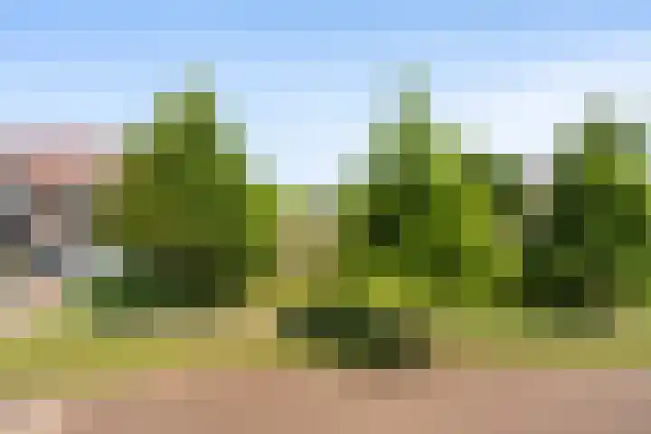 Marshalllaan 43 Woerden thumbnail 33