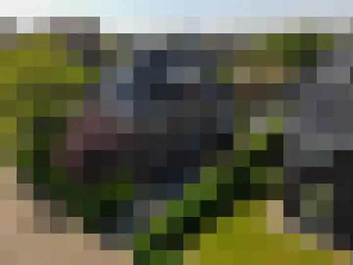 Marshalllaan 79 Woerden thumbnail 100
