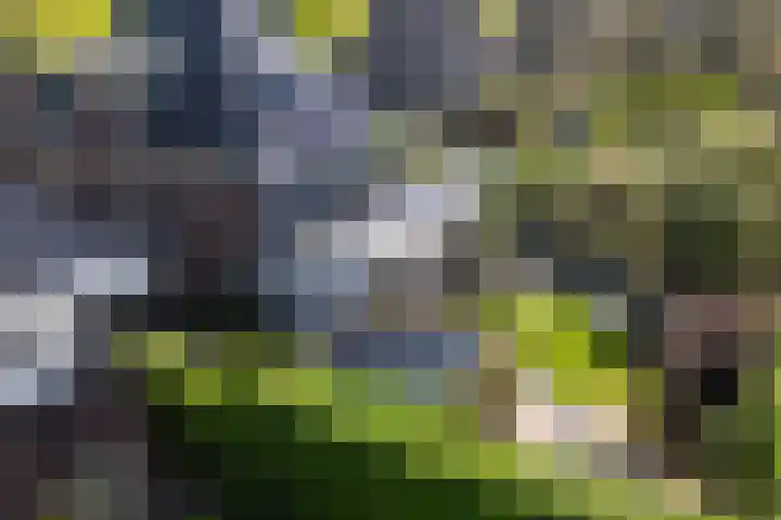 Marshalllaan 79 Woerden thumbnail 66