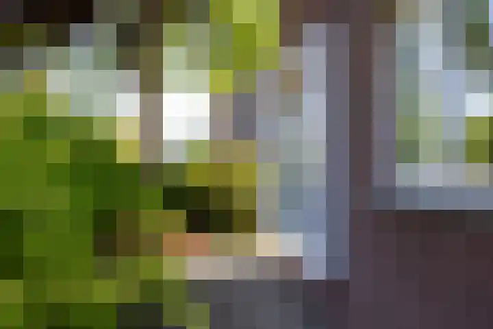 Marshalllaan 79 Woerden thumbnail 81