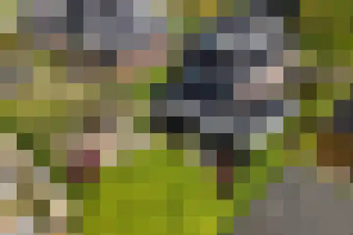 Marshalllaan 79 Woerden thumbnail 85