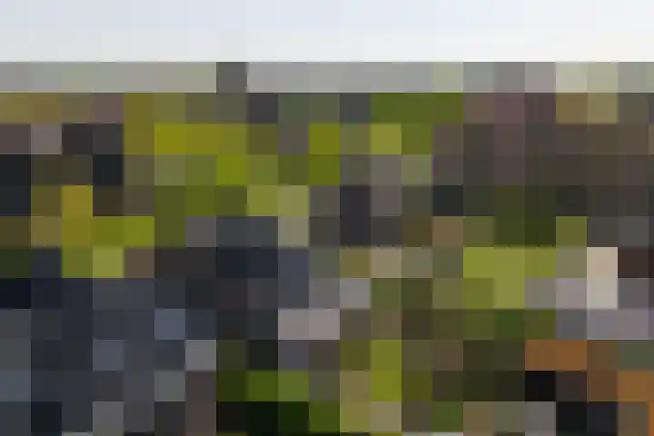 Marshalllaan 79 Woerden thumbnail 86